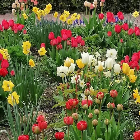 Hotel Garni Zur Linde